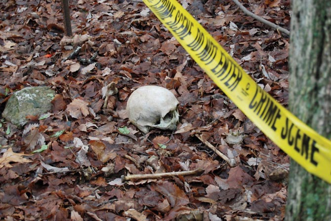 the body farm tennessee